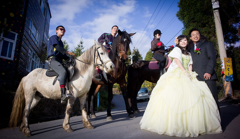 祝福她們白頭到老